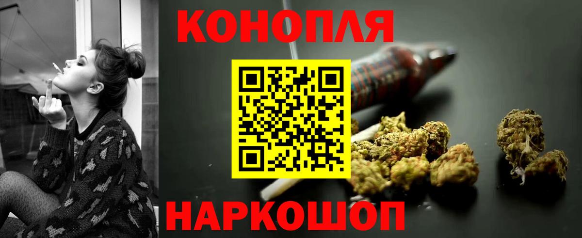 Каннабис конопля Видное